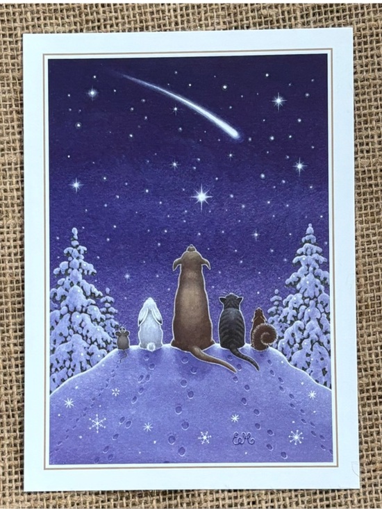 Other - Eva Melhuish Animals Watching Shootings Stars Christmas Card w Matching Envelope